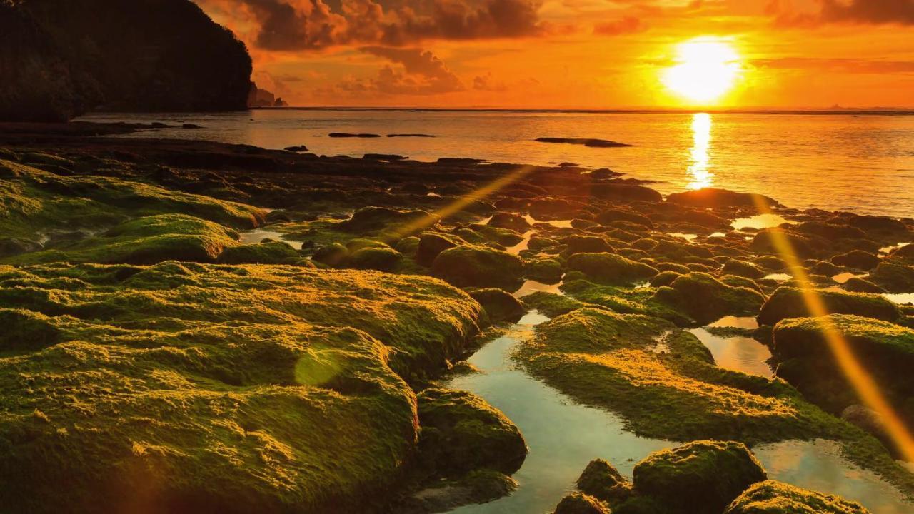 Bale Bingin Beachfront Stay Uluwatu Kültér fotó